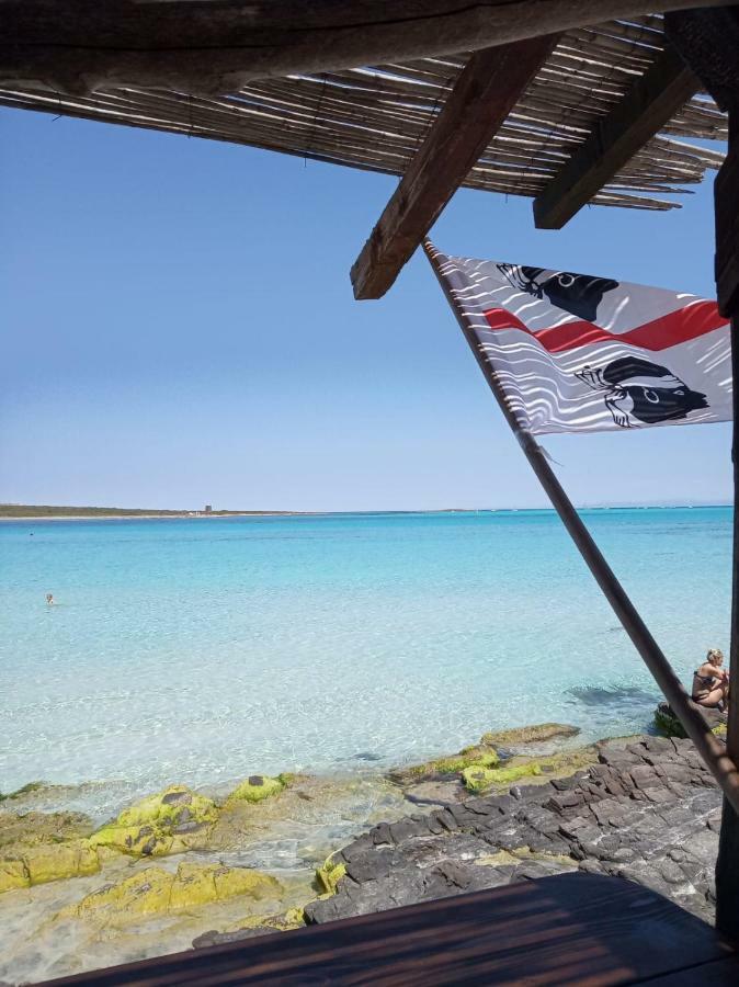 Stefano Casa Vacanze Viddalba ภายนอก รูปภาพ